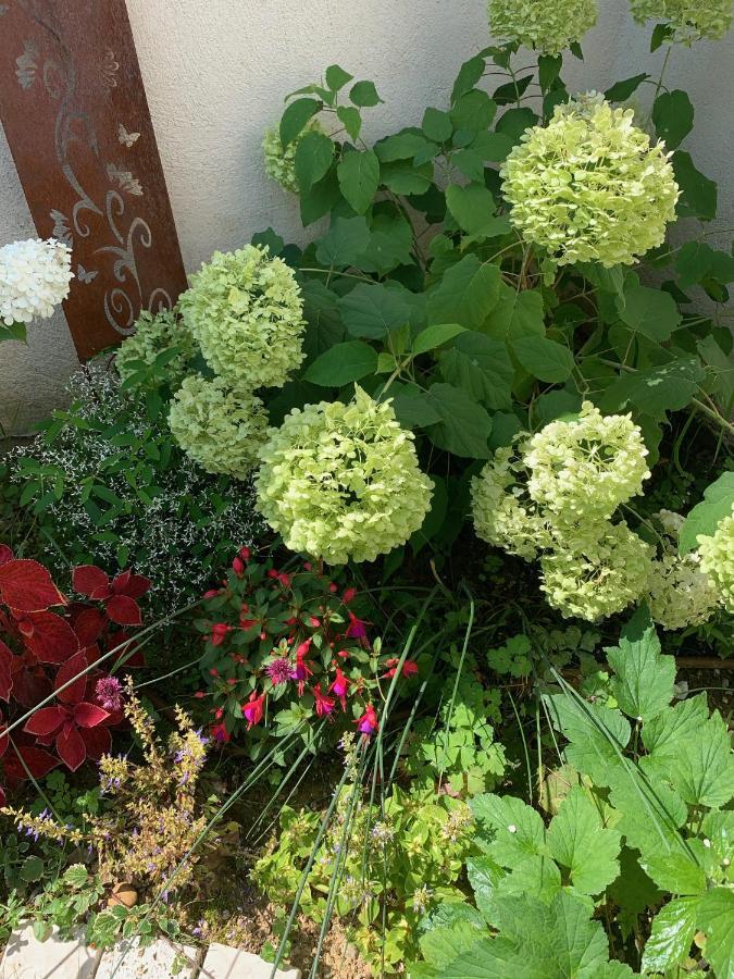 La Glycine B&B Sainte-Colombe  Zewnętrze zdjęcie