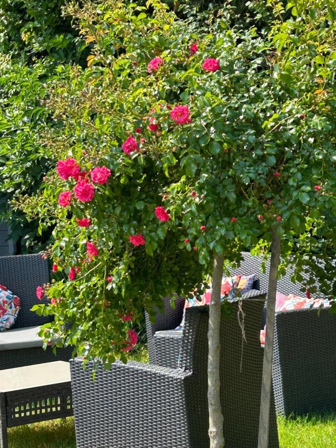 La Glycine B&B Sainte-Colombe  Zewnętrze zdjęcie